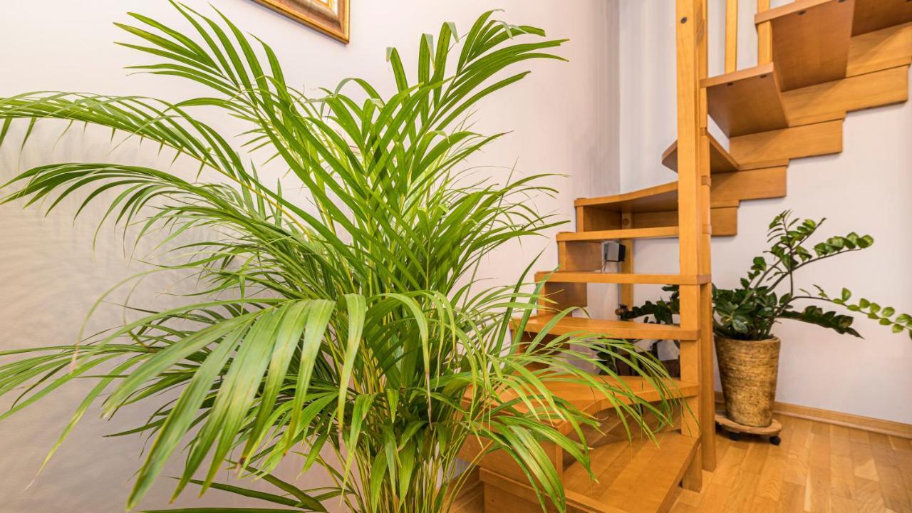 Maya'S Flats & Resorts - Old Town Dluga 72 Maisonette 그단스크 외부 사진